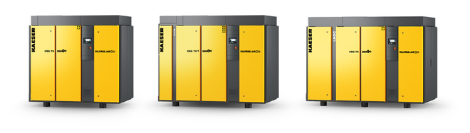60 hp oil free screw compressors - CSG 75