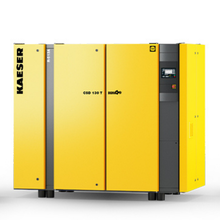 CSD 130T - 100 hp screw compressor with dryer