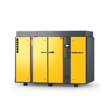 CSG 60 iHOC - 50 hp oil free screw compressor with integrated heat of compression dryer