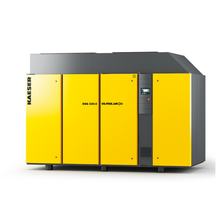 DSG220-2 - 175 hp oil screw compressor