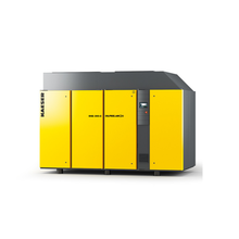 DSG260-2 - 200 hp oil free screw compressor