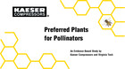 P-plants for pollinators - web