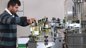 Success story_Fino_NZ_packing_1400x788