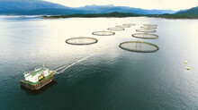 Kaeser compressed air and low pressure equipment for aquaculture