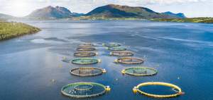 aquaculture