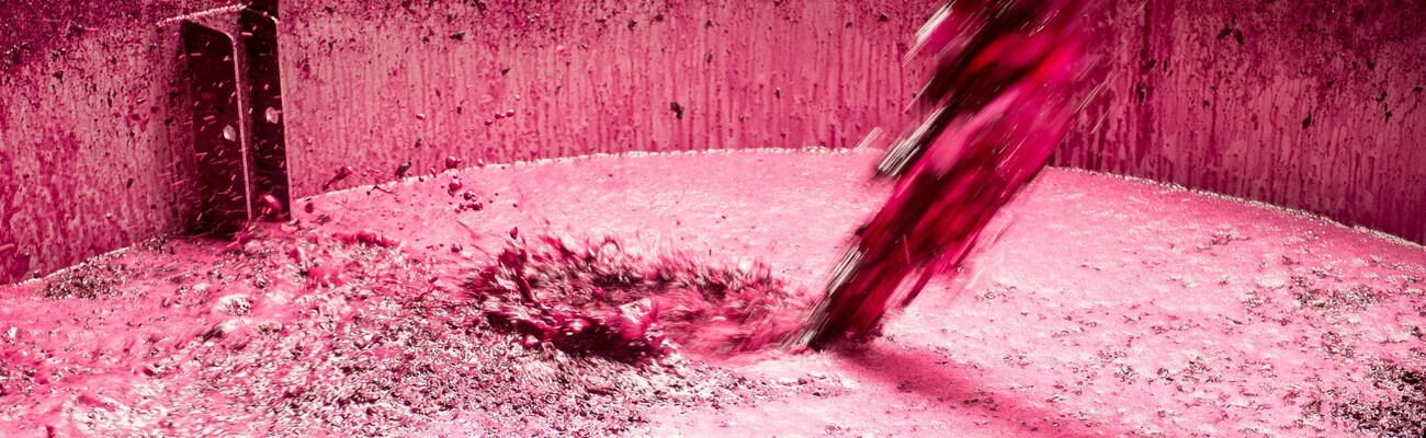 juice-entering-fermentation-tank