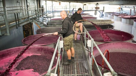 pneumatic-press-filled-teusner-wines2