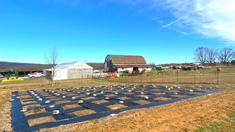 pollinator study - Virginia Tech